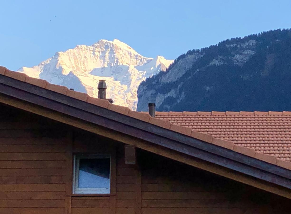 S&P Mountain View Apartment 1 Wilderswil Esterno foto