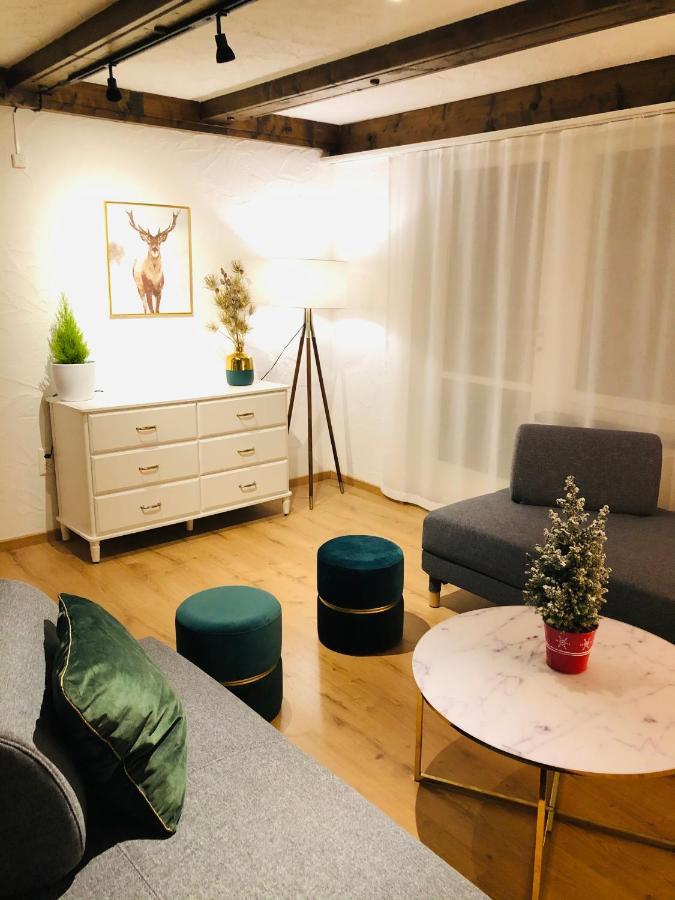 S&P Mountain View Apartment 1 Wilderswil Esterno foto