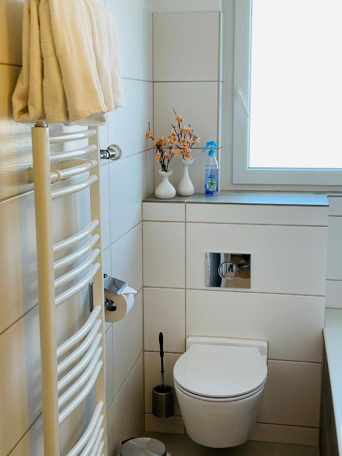 S&P Mountain View Apartment 1 Wilderswil Esterno foto