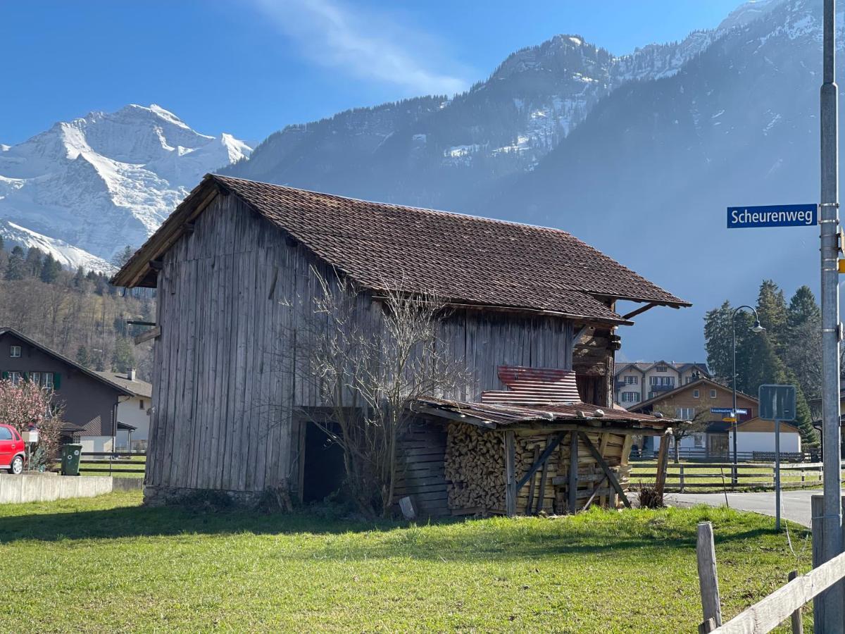 S&P Mountain View Apartment 1 Wilderswil Esterno foto