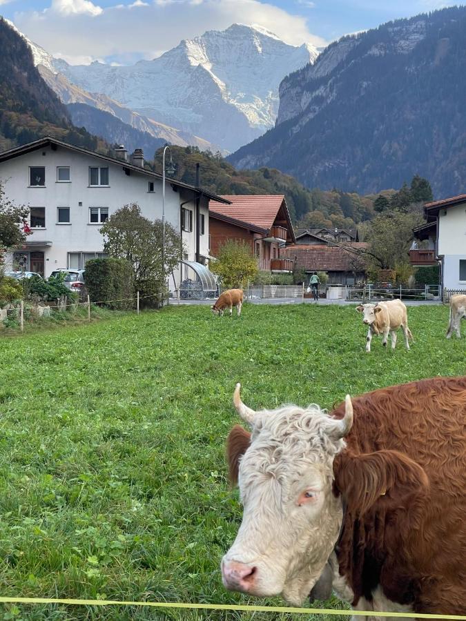 S&P Mountain View Apartment 1 Wilderswil Esterno foto
